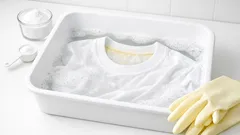 白Tシャツの首元の黄ばみはなぜ落ちにくい？過炭酸ナトリウムで整える洗濯術