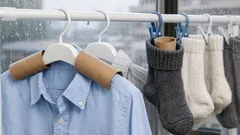 捨てる前のトイレットペーパー芯が部屋干しの悩みを解決する2つの使い方