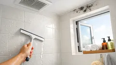 浴室の黒カビを防ぐコツはこれ 換気・水切り・温度調整で清潔をキープ